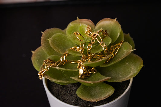 10k Figaro chain